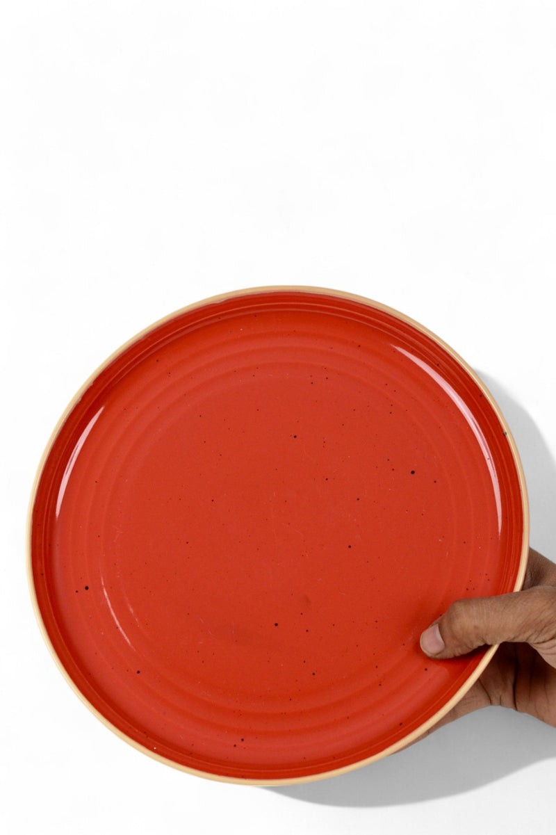 Dinner plates 11