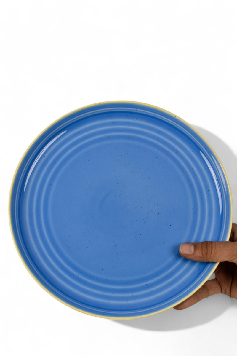 Dinner plates 11