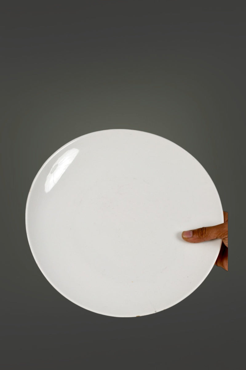 Dinner plates 11